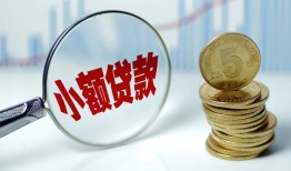 成都10哪里可以小额贷款-成都10哪里有民间借贷-成都10民间短期私借借款